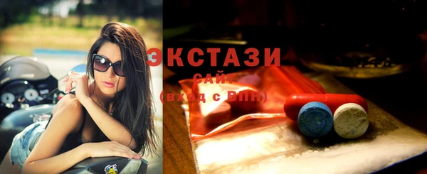 индика Переславль-Залесский