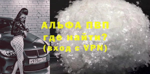 индика Белая Холуница